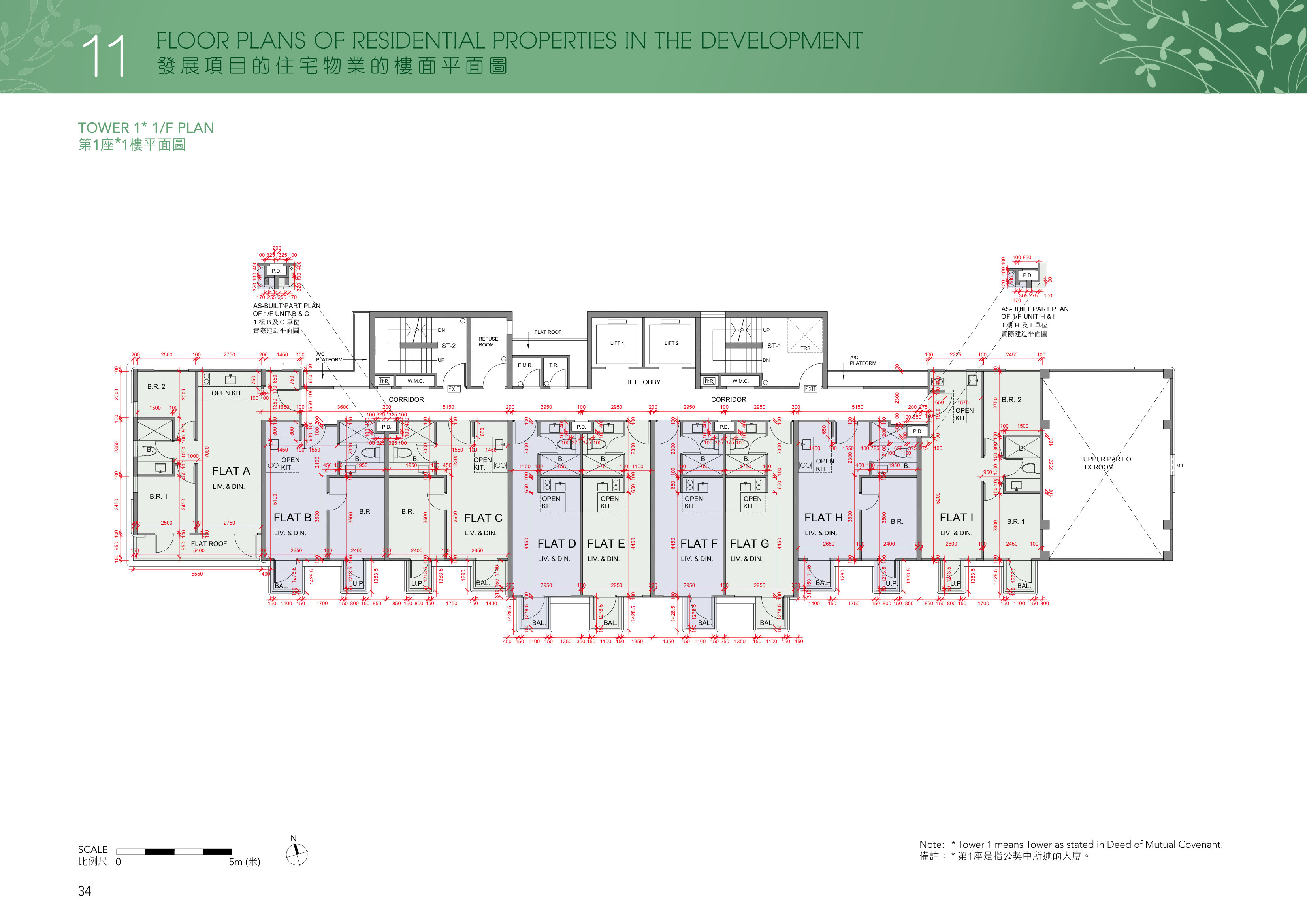 南屏匯 FLAT ROOF（放大）