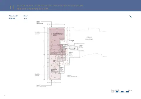 Monaco 低座D座 3樓及5樓A單位之天台