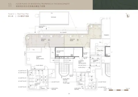 Whitesand Cove 3座 天台 平面圖